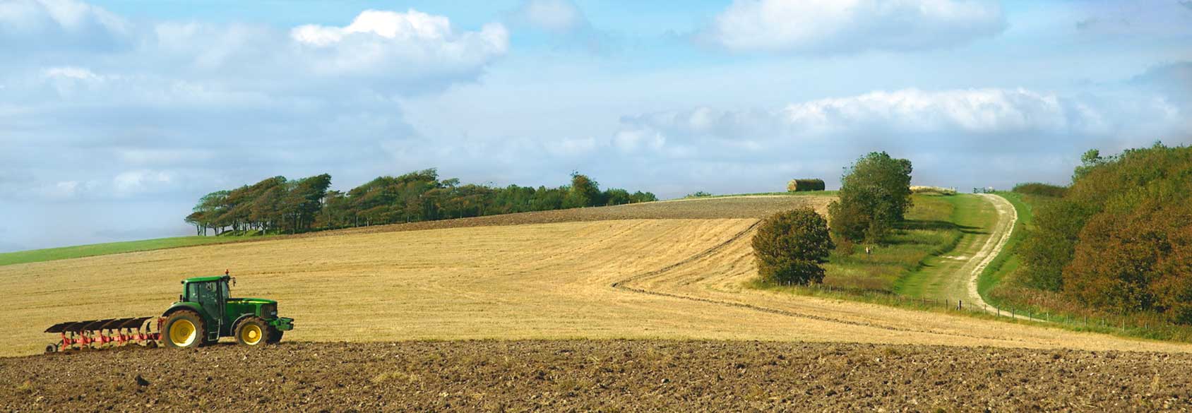 Ottavio_Mazzocca-agro-turismo